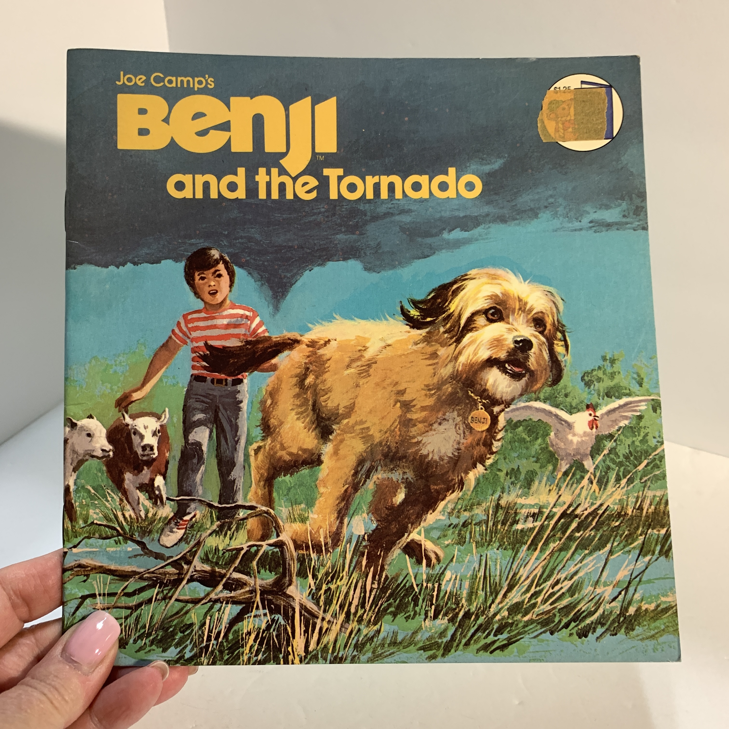 Benji and the Tornado Book 1981