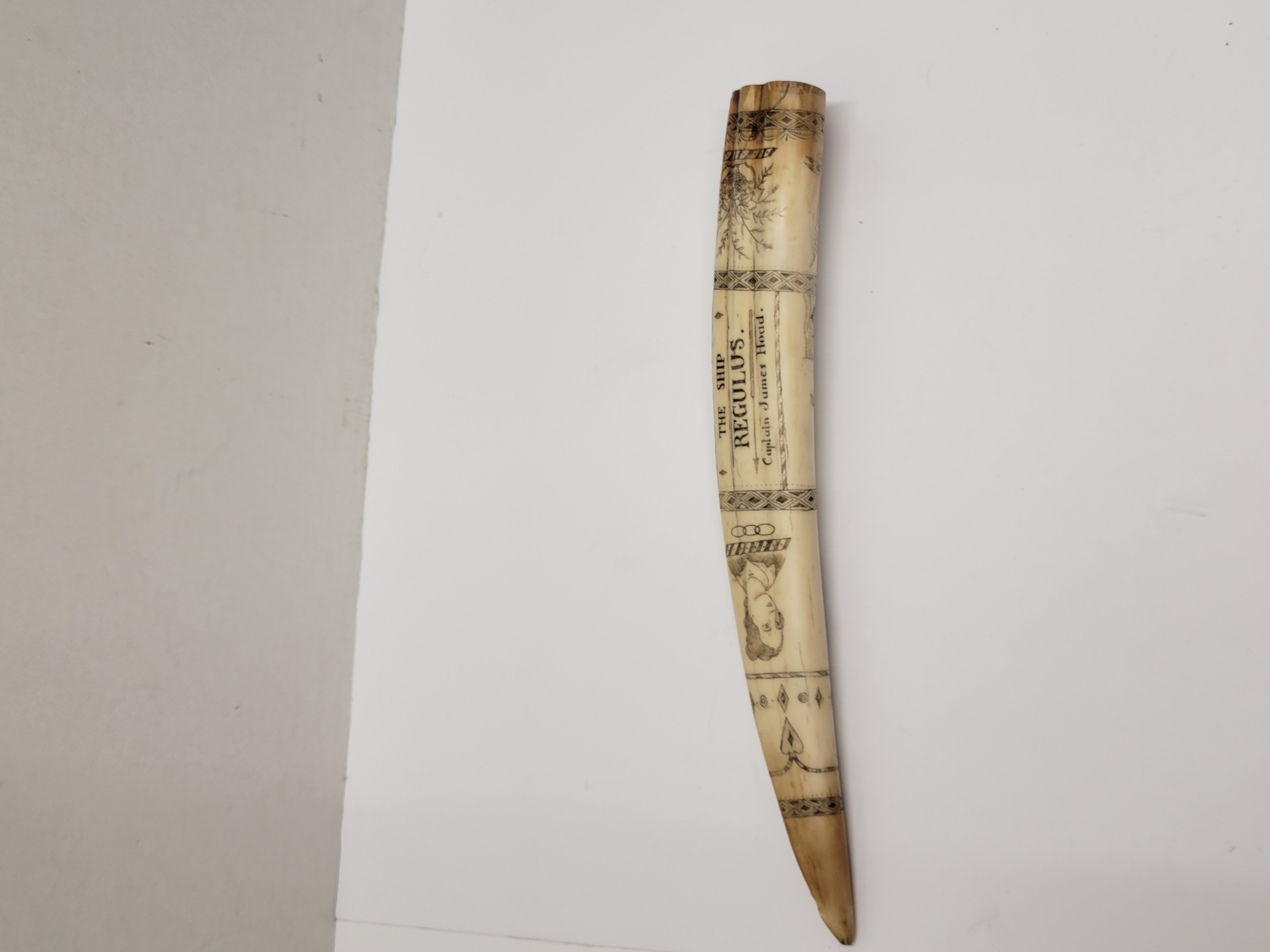 Vintage Scrimshaw Tusk 14 The Ship Regulus Captain James Hoad Resin ...