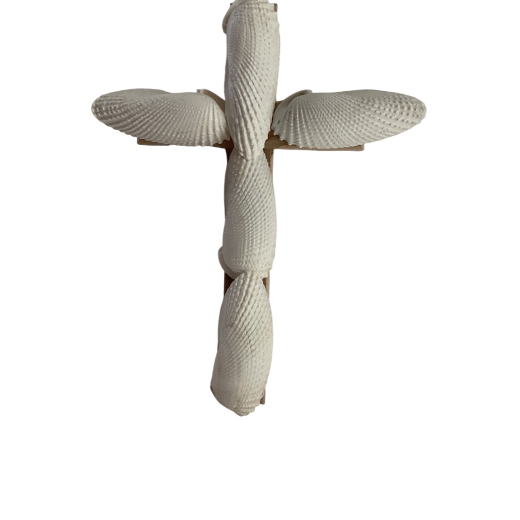 Cross Made With Angel Wing Shells