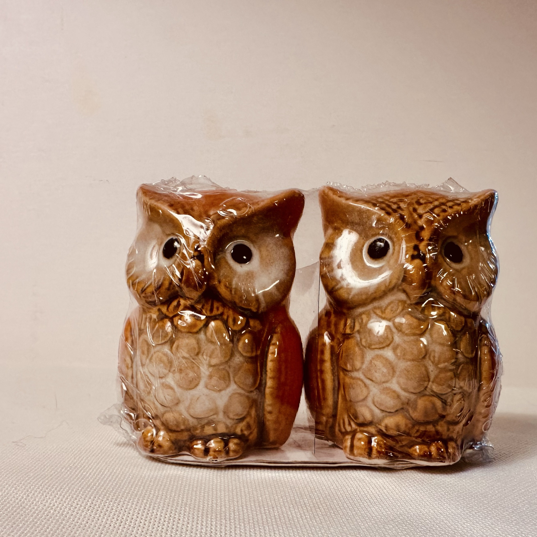 Retro Vintage Grandmacore Glazed Midwood Ceramic Owls Salt And