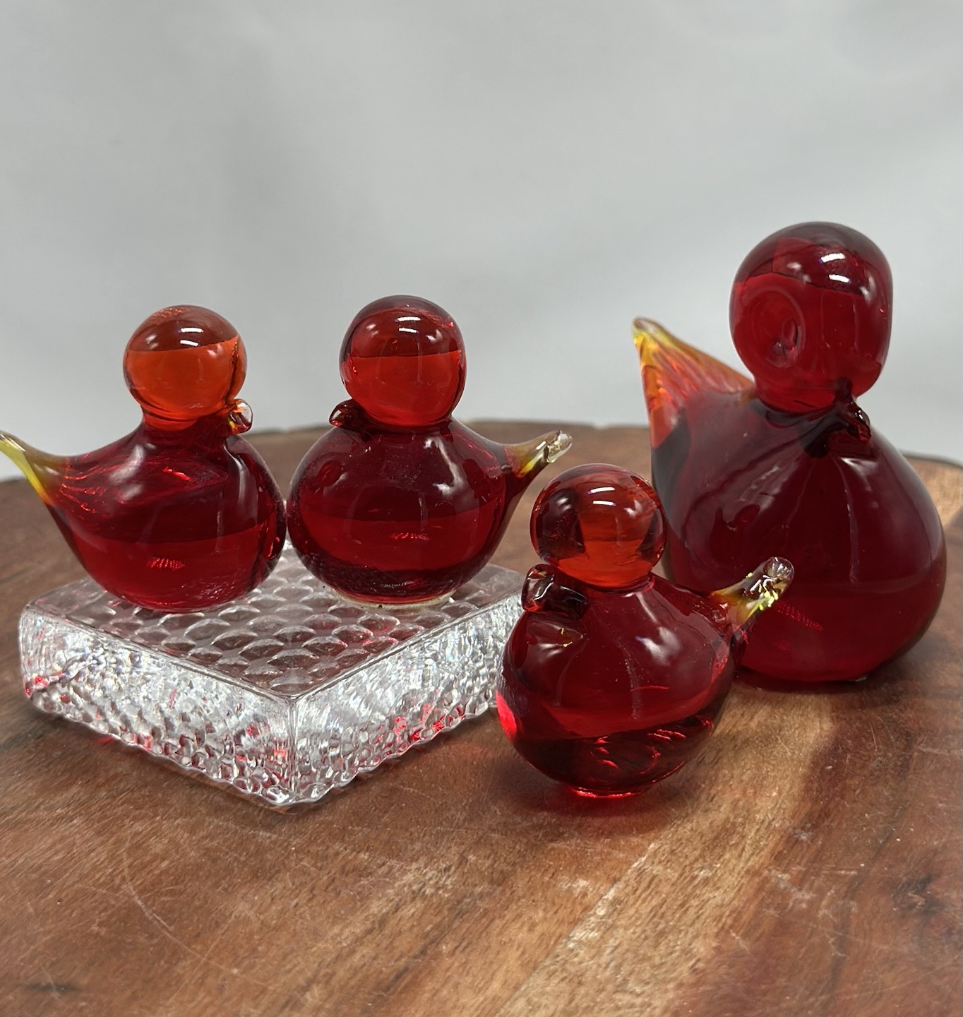 Curated visual reference: Gallery Detail: Vintage Swedish Lovebirds On Stand Amberina Uv Glow Cardinal Birds