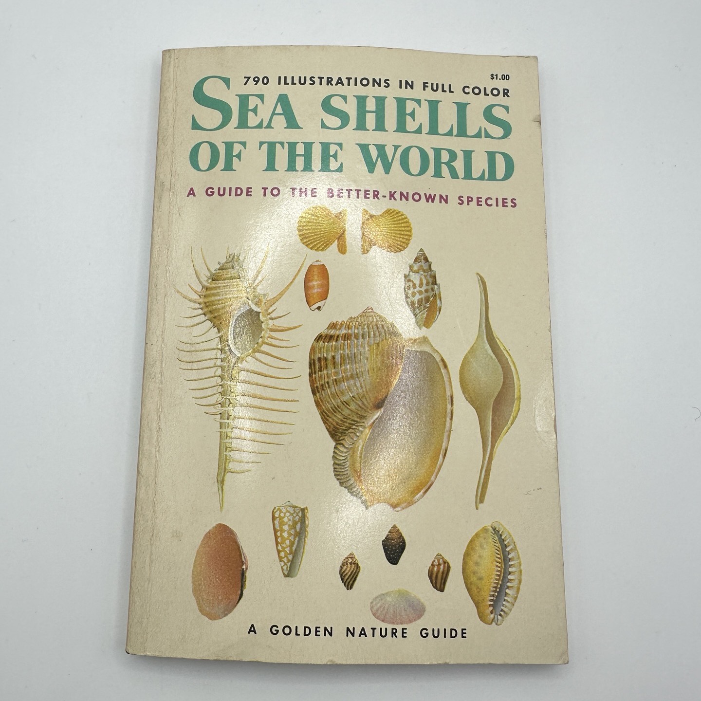 Dk Shells Book Seashells Of The World Book