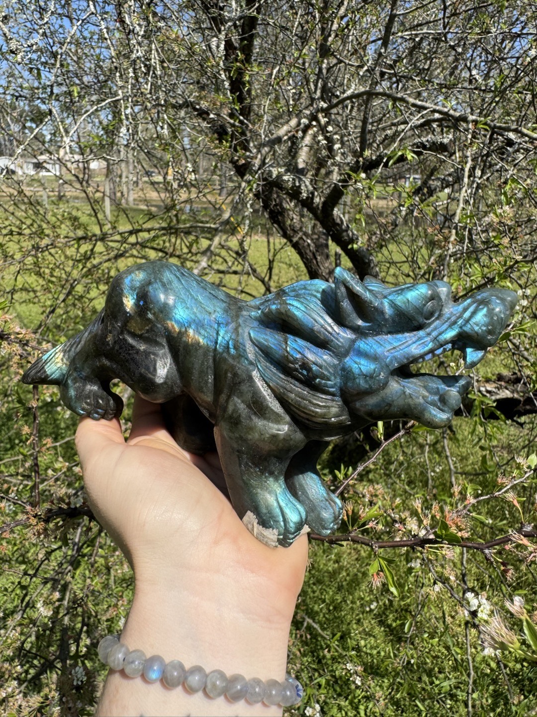 Lab Wolf
