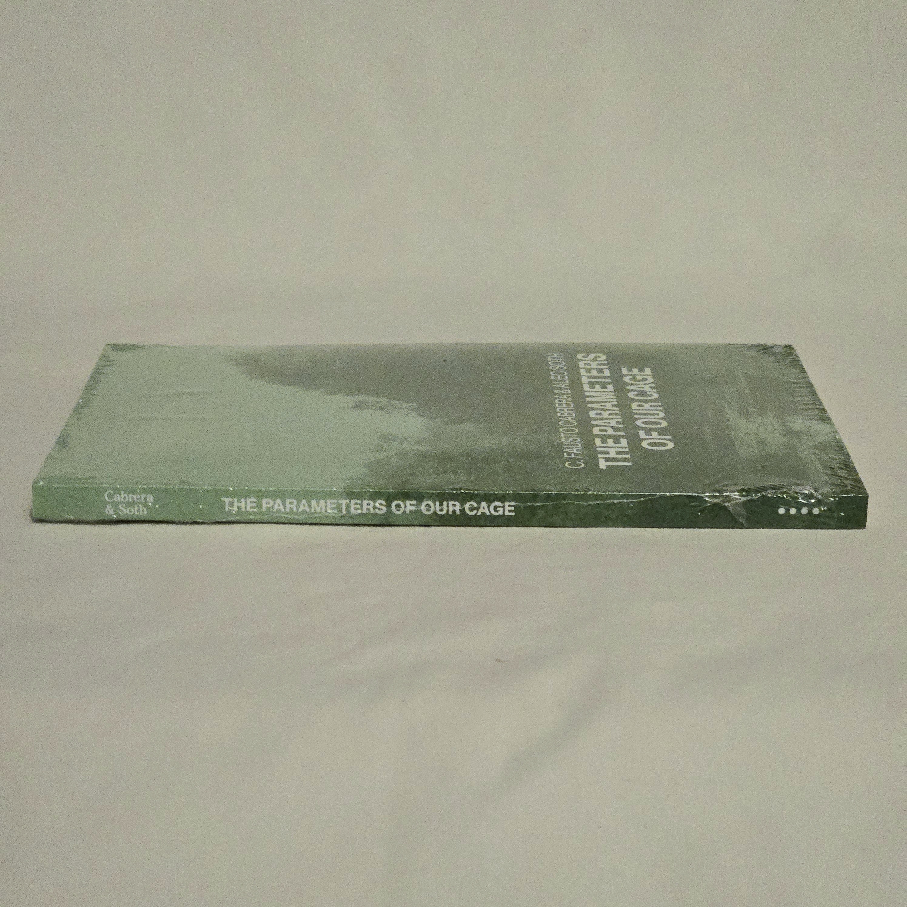 未開封 THE PARAMETERS OF OUR CAGE Alec Soth