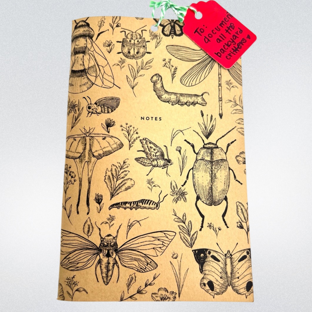 Insects Bugs Nature Science. Brown Paper Blank Field Notes Journal 8” x ...