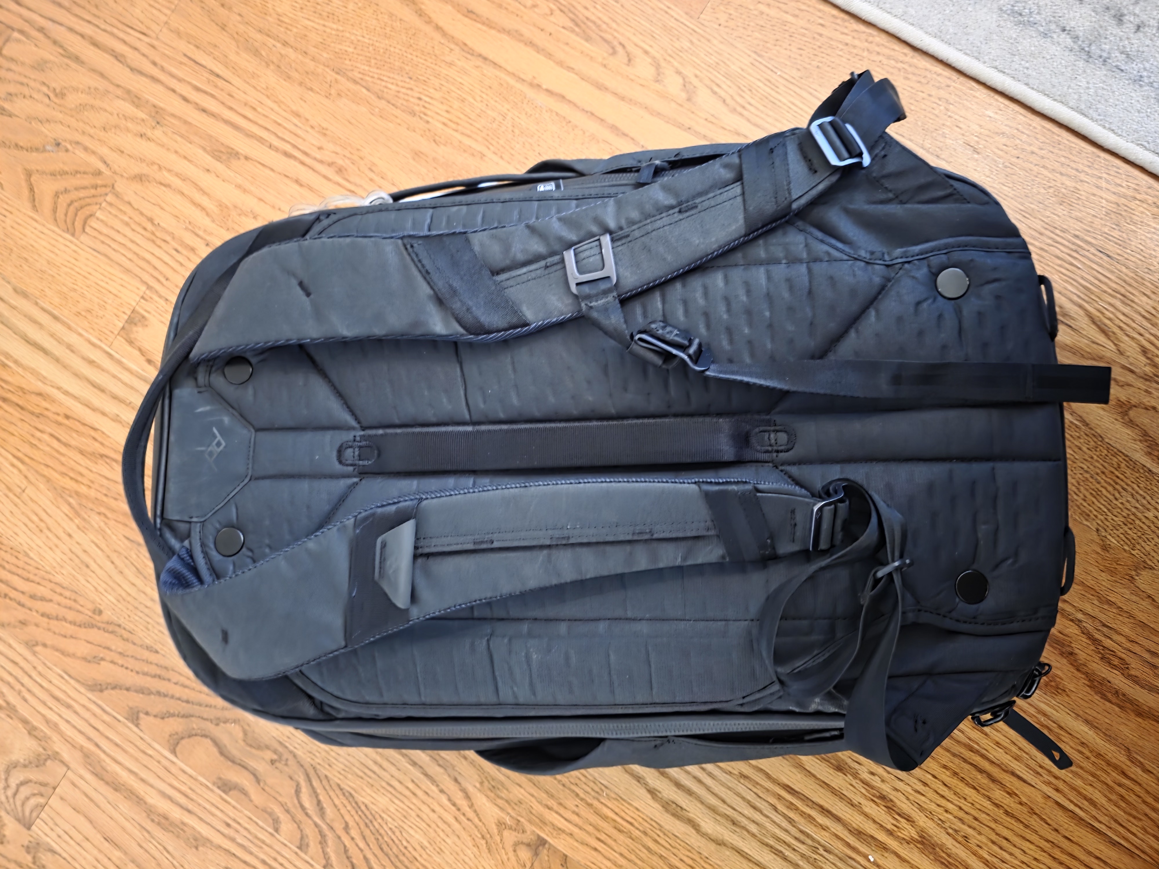 バッグ Bellroy APEX Backpack Raven Bellroy Apex Backpack - Raven - Seager Inc
