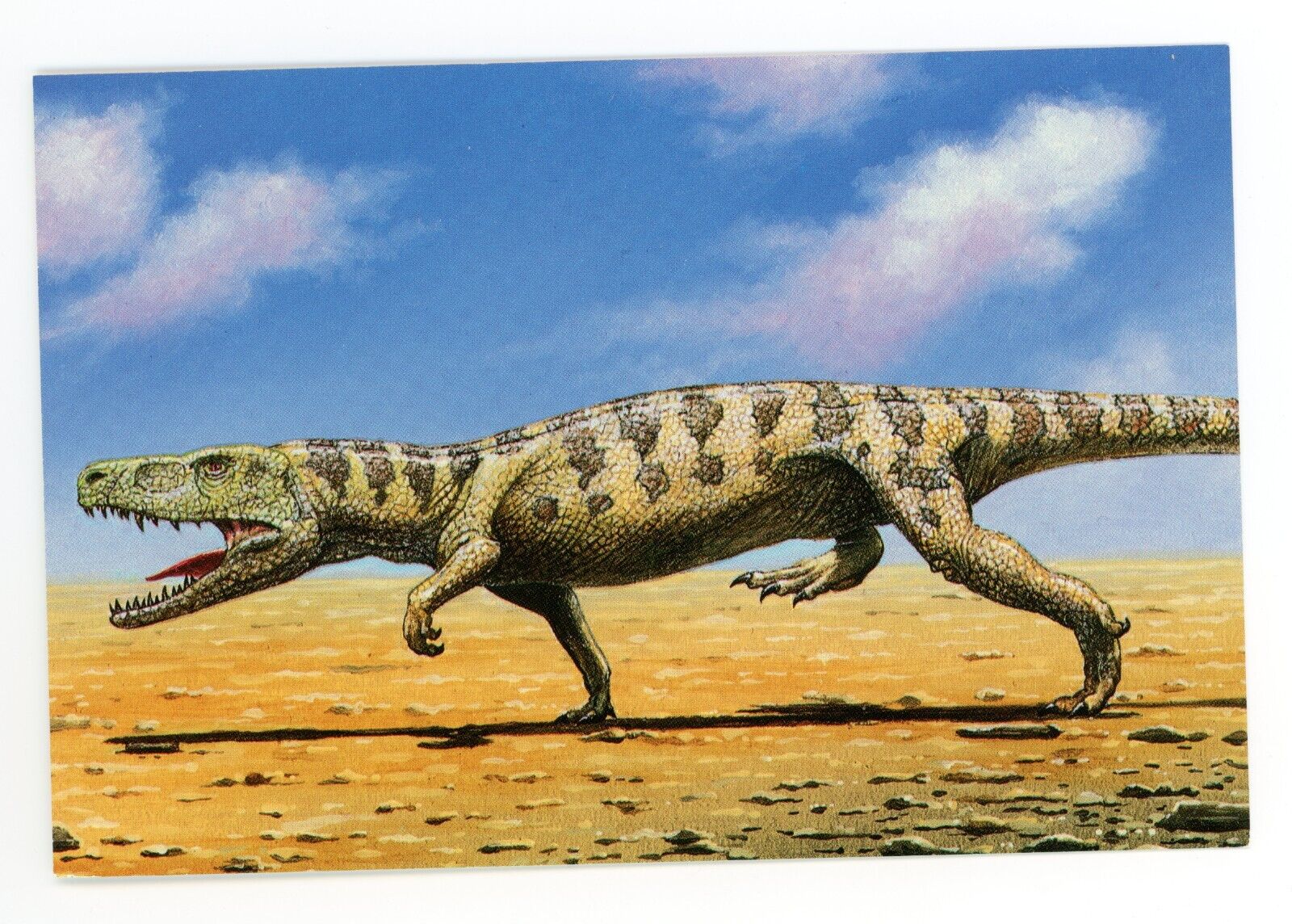 postcard-euparkeria-1991-prehistoric-south-africa-dave-marrs-jeff