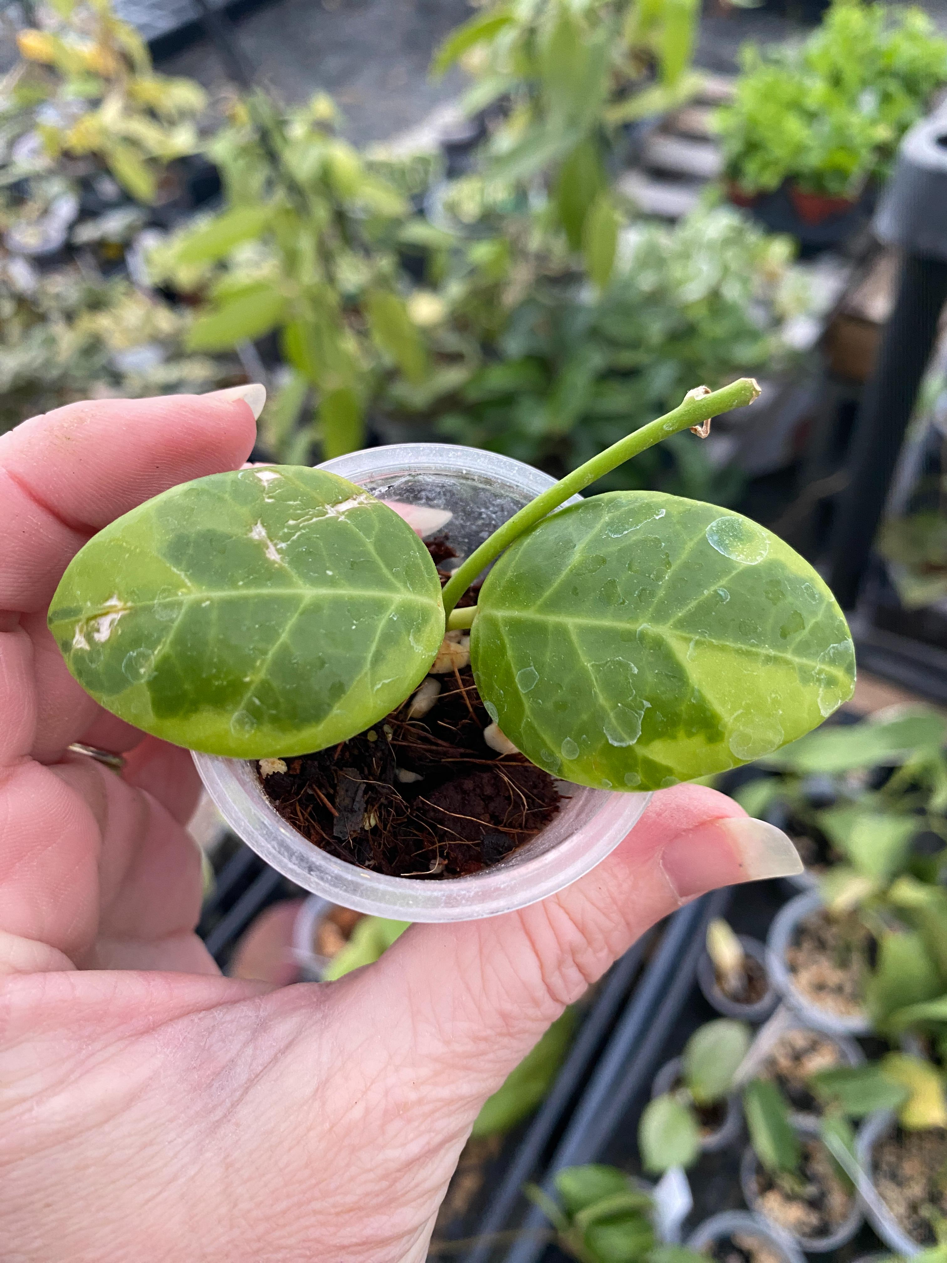 def2fcf1-d012-4c88-adbd-